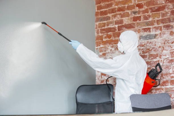 Best Industrial Mold Remediation  in Creighton, NE
