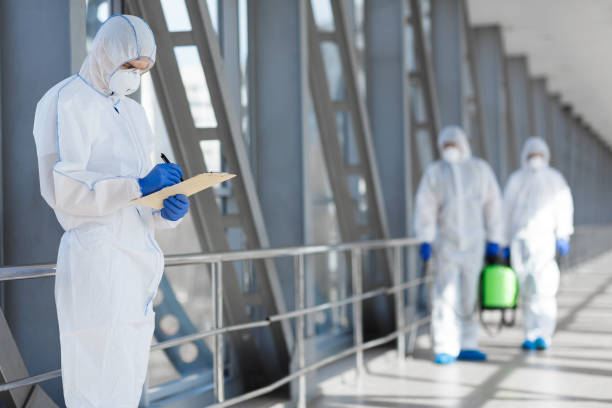 Reliable Creighton, NE Mold Removal Solutions