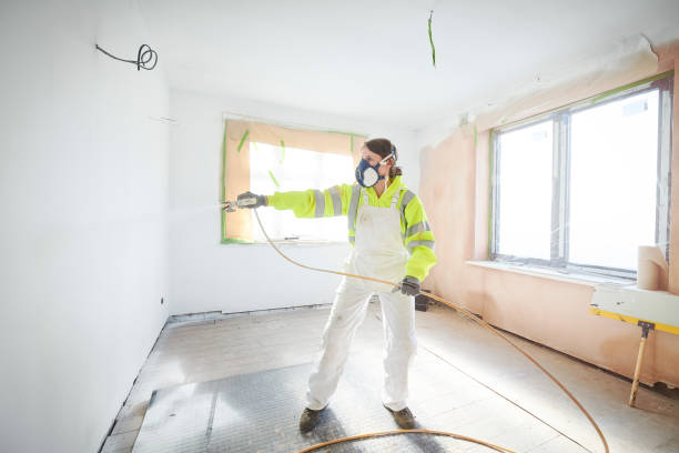 Best Mold Odor Removal Services  in Creighton, NE