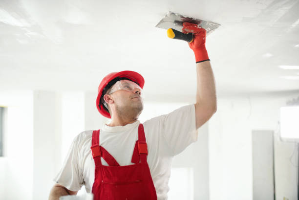 Best Black Mold Removal  in Creighton, NE