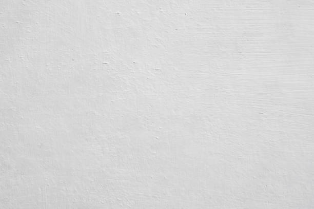 Best Emergency Mold Remediation  in Creighton, NE