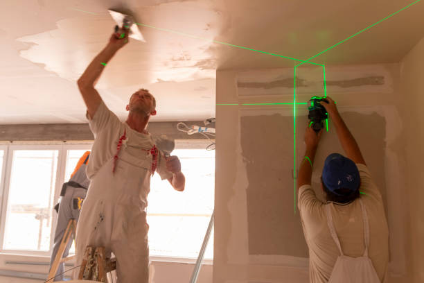 Mold Odor Removal Services in Creighton, NE