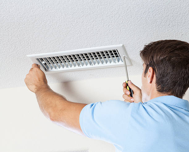 Best Mold Removal for HVAC Installations  in Creighton, NE