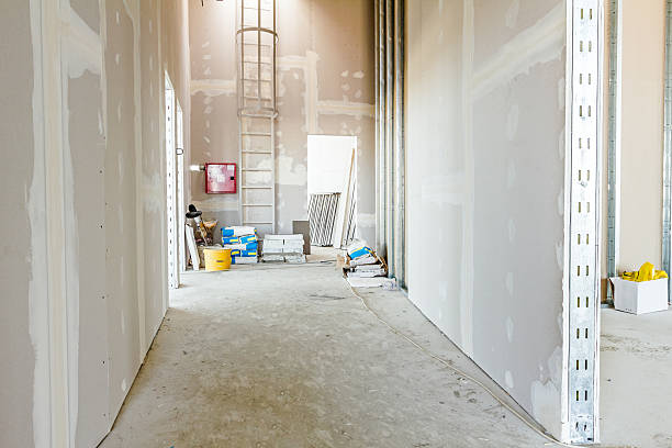 Best Real Estate Mold Inspection  in Creighton, NE